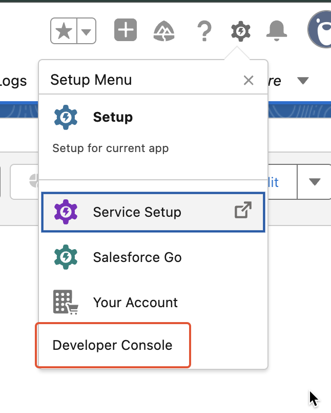 Developer Console